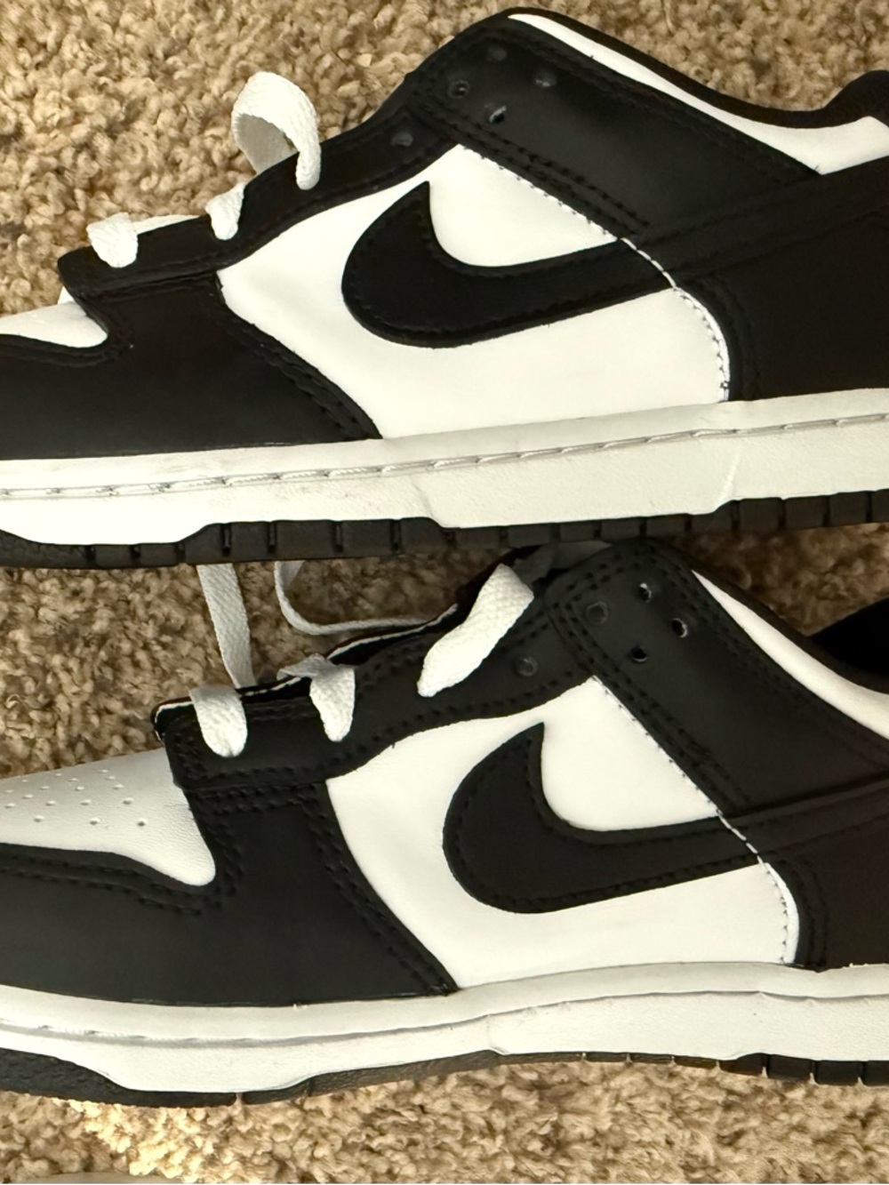 Nike Dunks Low